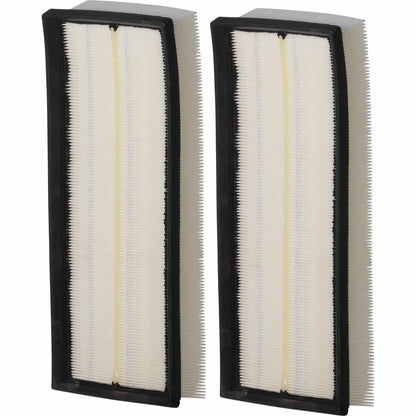 ECOGARD Air Filter XA10664