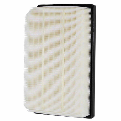 Ecogard XA11717