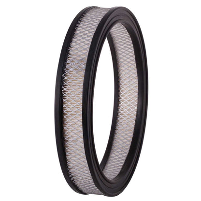 ECOGARD Air Filter XA124