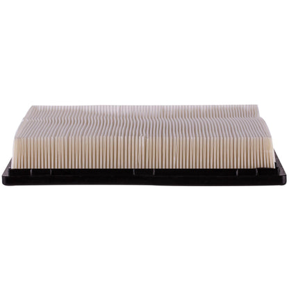 ECOGARD Air Filter XA4632