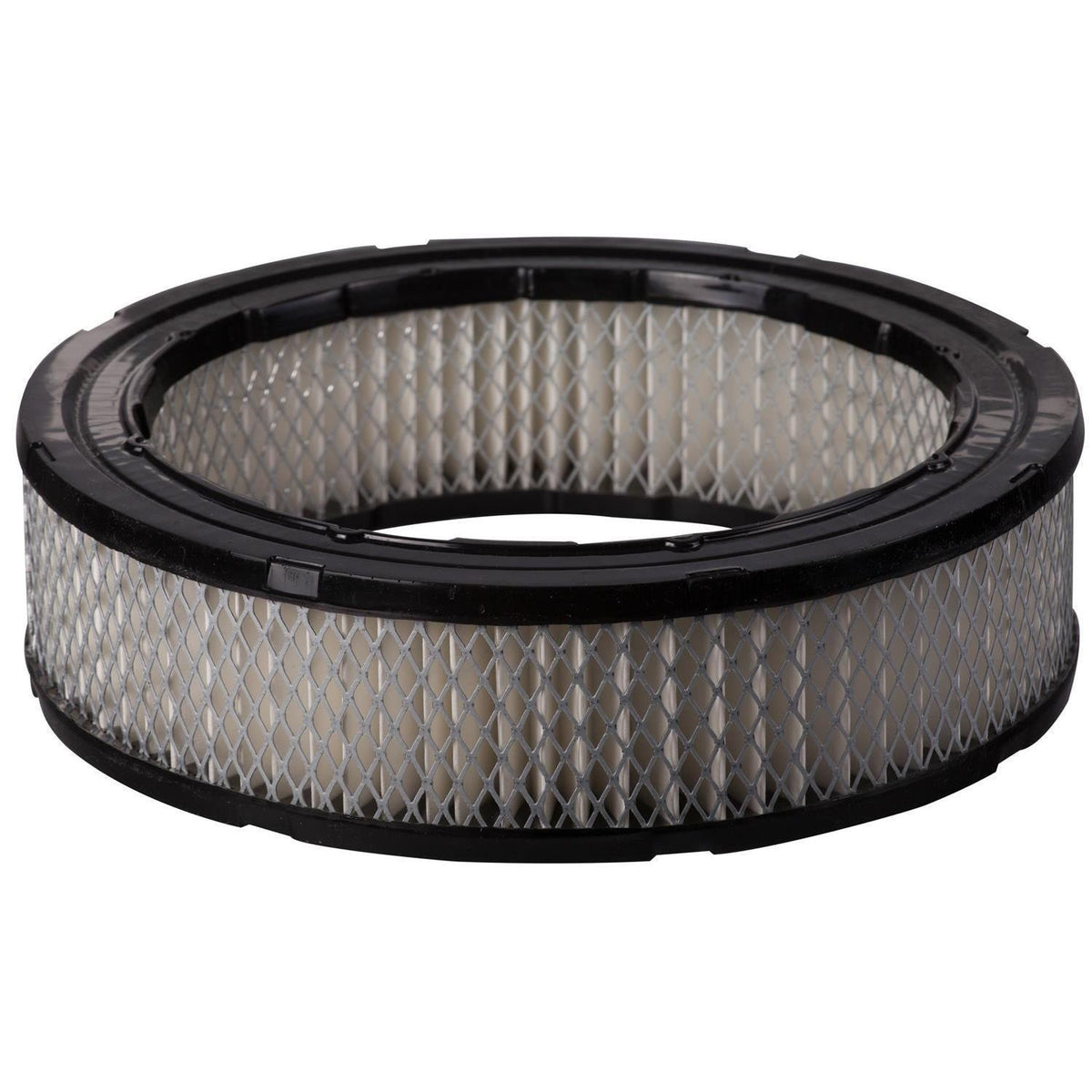 ECOGARD Air Filter XA4
