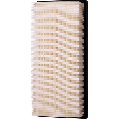 ECOGARD Air Filter XA5546
