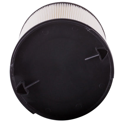 ECOGARD Air Filter XA5556