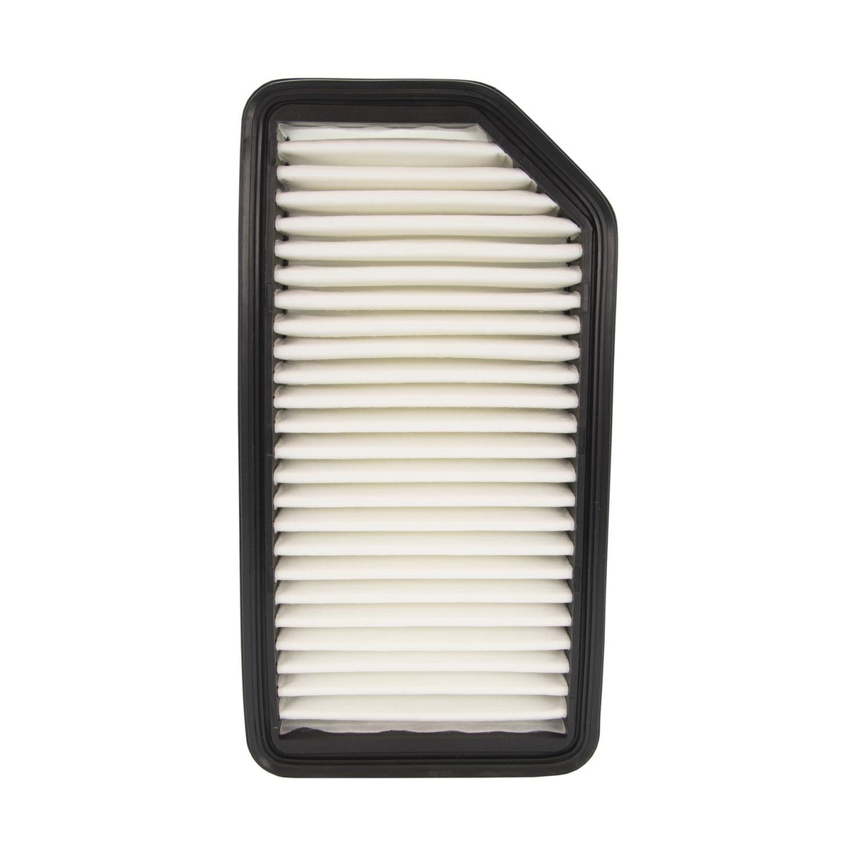 ECOGARD Air Filter XA6094