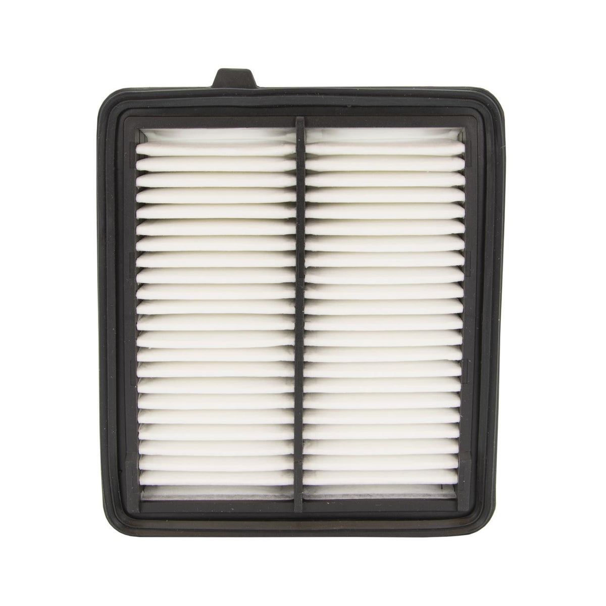 ECOGARD Air Filter XA6100