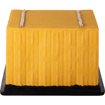 ECOGARD Air Filter XA6109