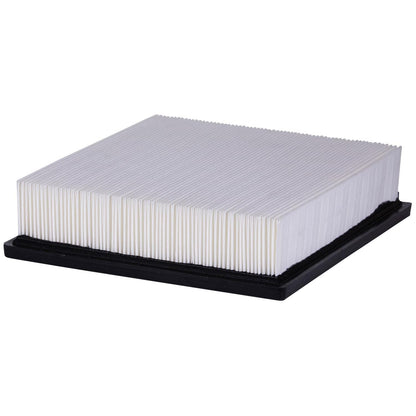 ECOGARD Air Filter XA6116