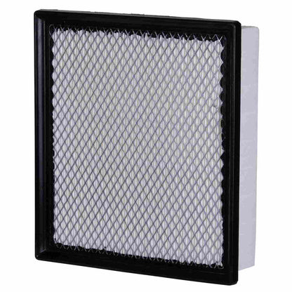 ECOGARD Air Filter XA6116