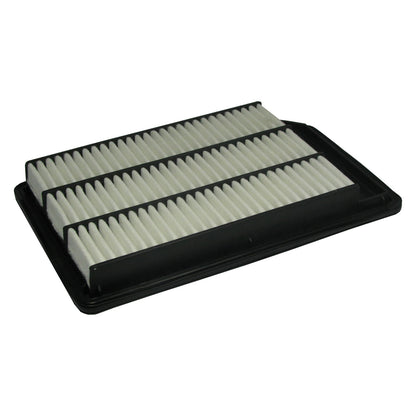ECOGARD Air Filter XA6123