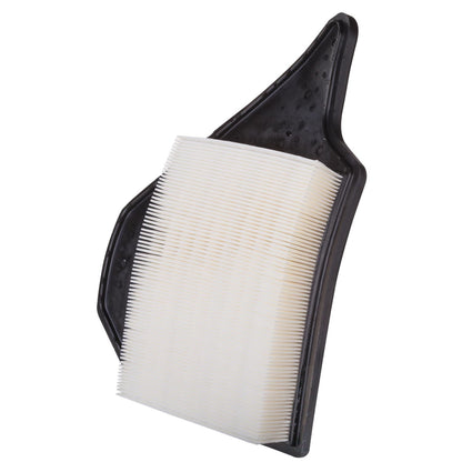 ECOGARD Air Filter XA6165