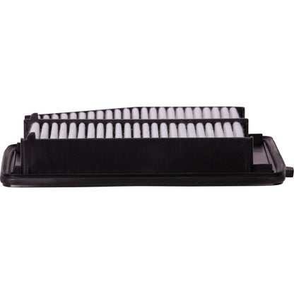 ECOGARD Air Filter XA6171