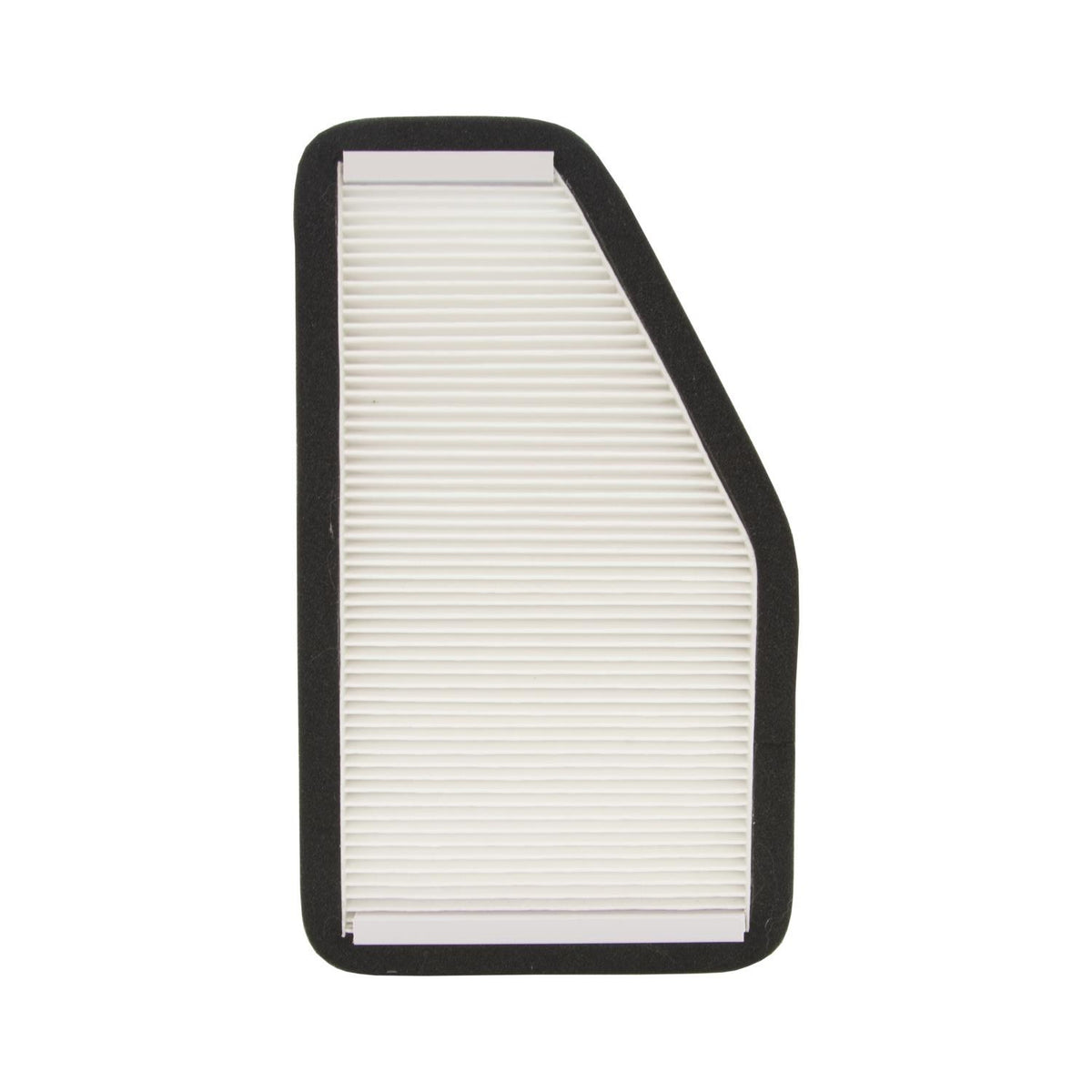 ECOGARD Cabin Air Filter XC25685