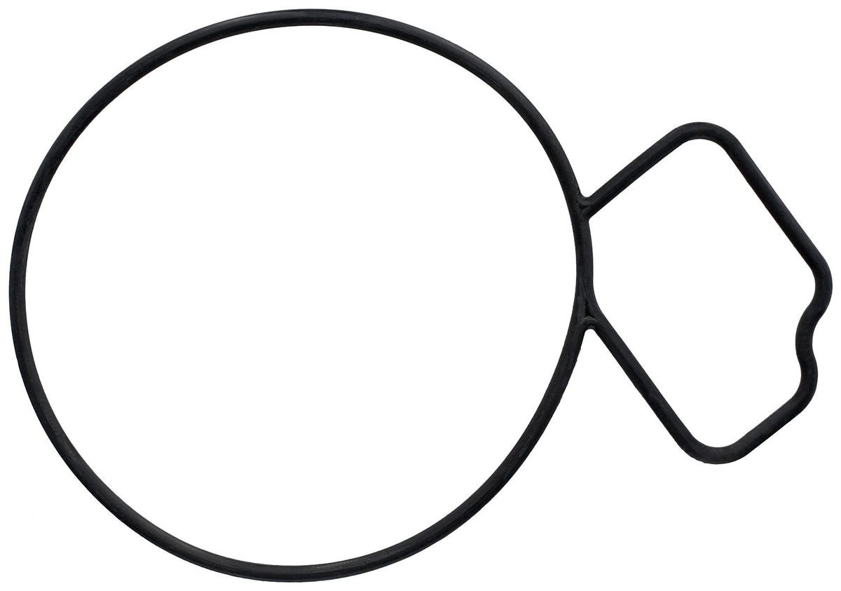 Elring Gasket, Water Pump 061.670