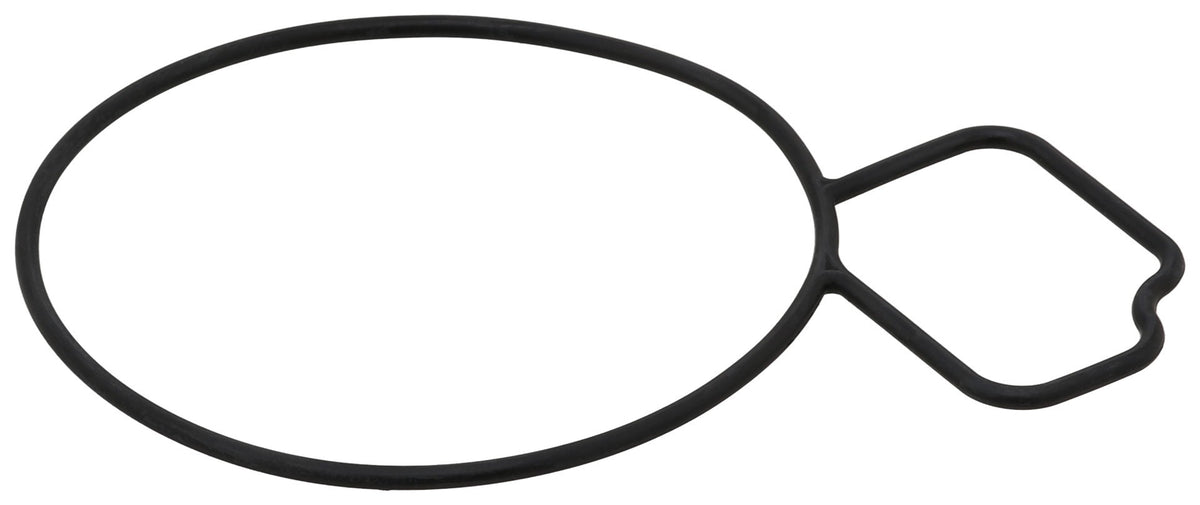 Elring Gasket, Water Pump 061.670