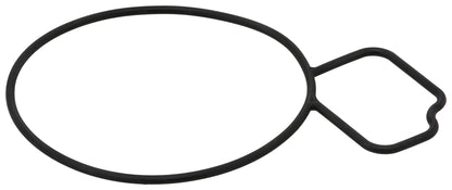 Elring Gasket, Water Pump 061.670