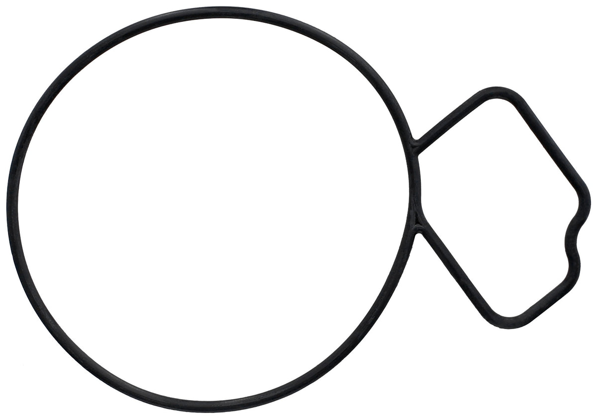 Elring Gasket, Water Pump 061.670