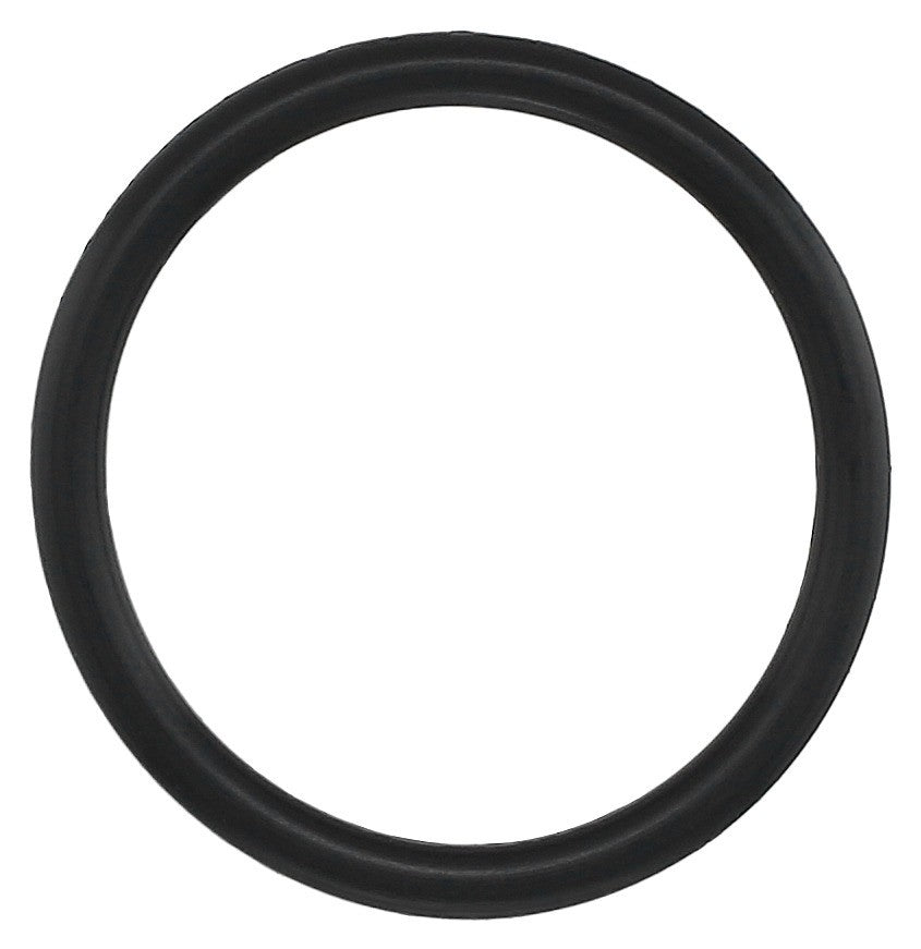 Elring Fuel Line Seal Ring 099.320