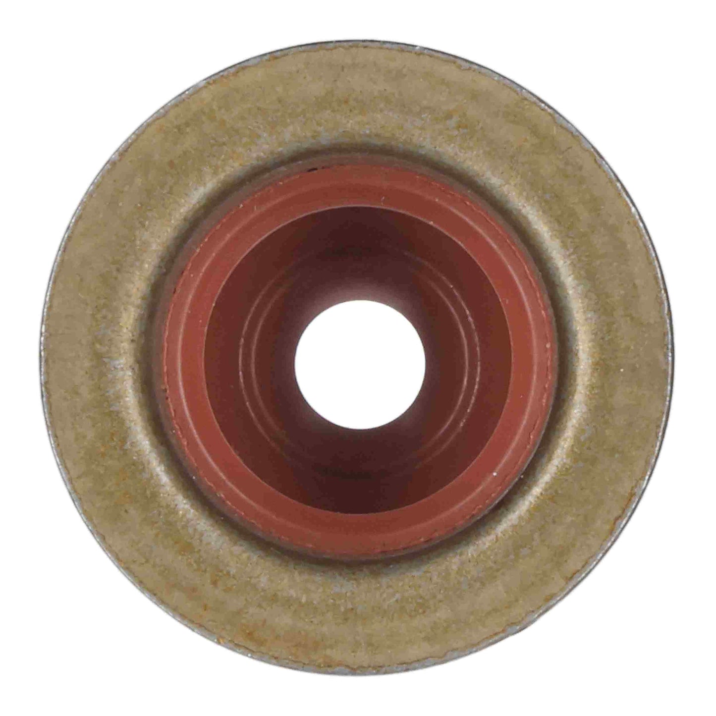 Elring Engine Valve Stem Oil Seal 157.560