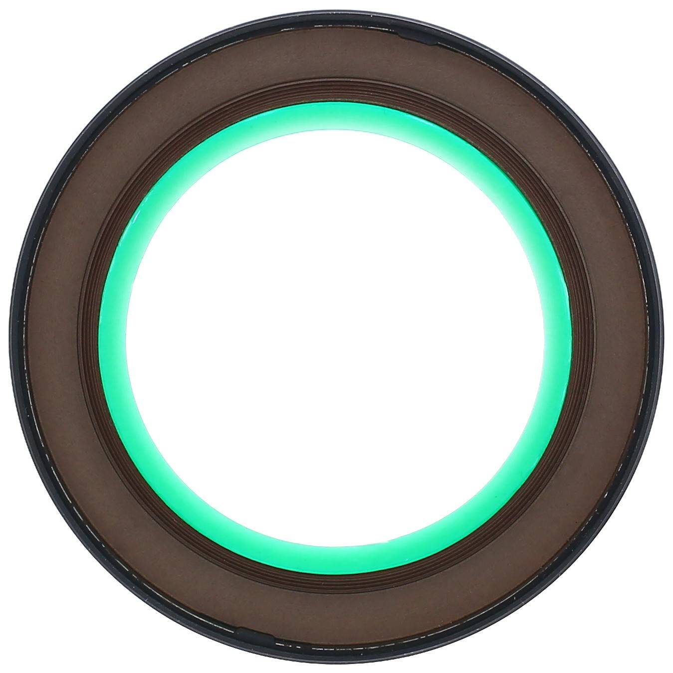 Elring Engine Crankshaft Seal 247.110