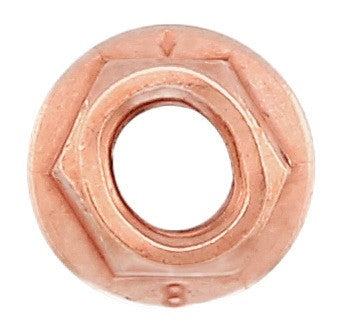 Elring Nut 247.130