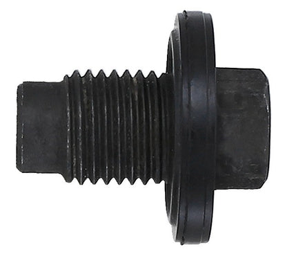 Elring Engine Oil Drain Plug 298.480