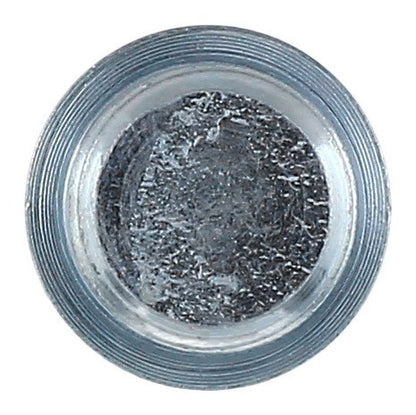 Elring Differential Drain Plug 587.140
