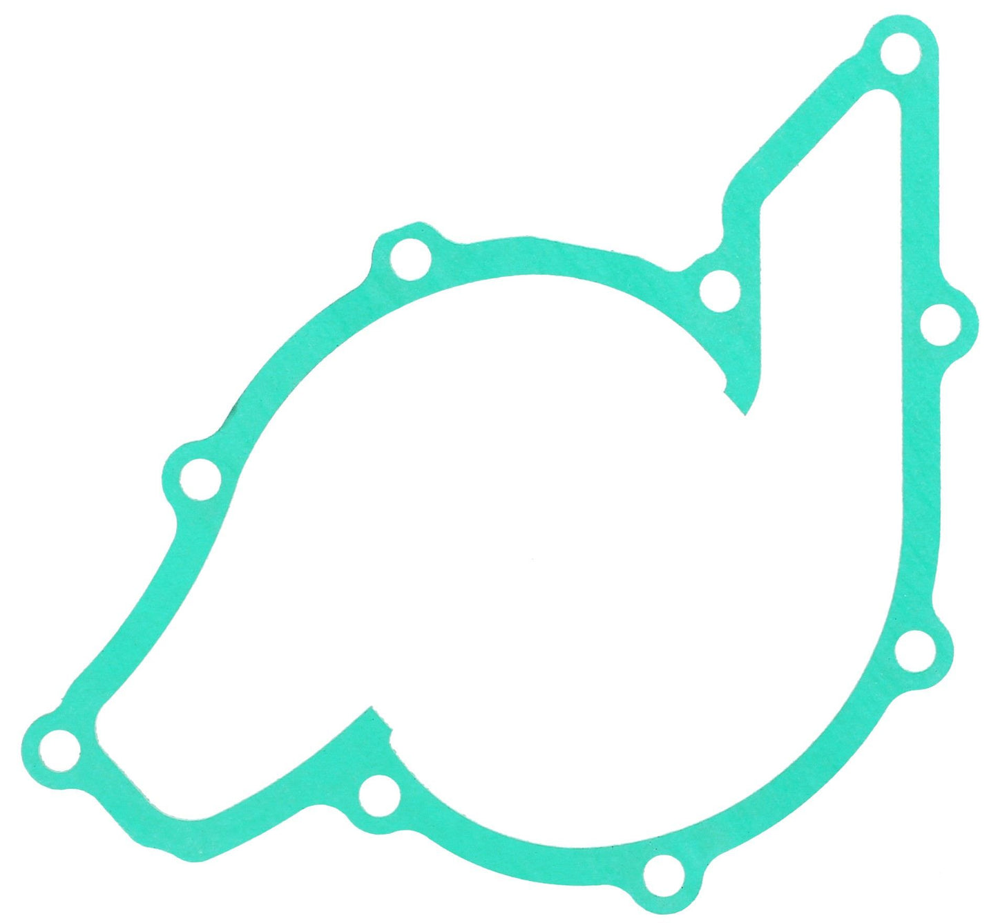 Elring Engine Water Pump Gasket