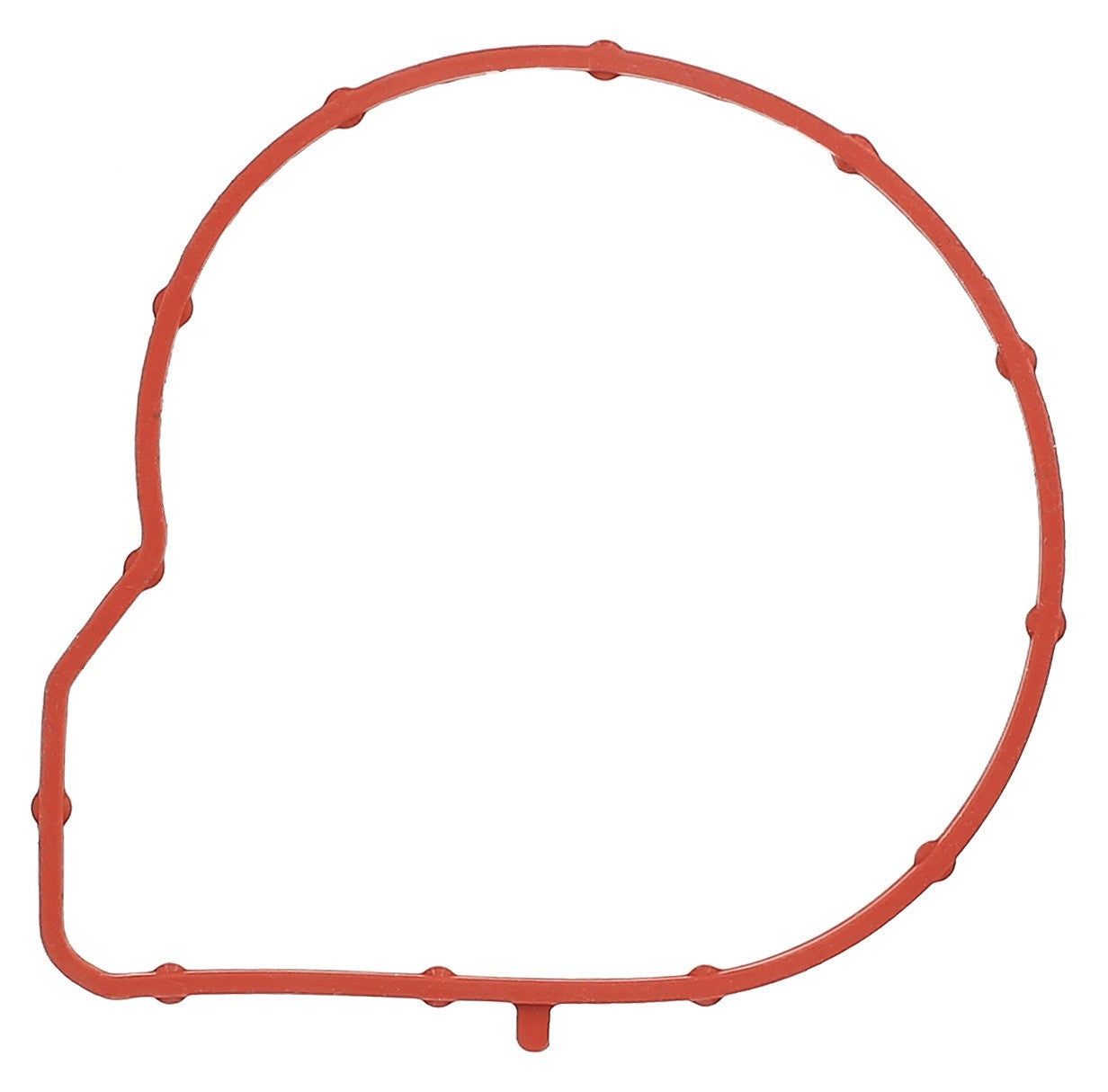 Elring Engine Water Pump Gasket