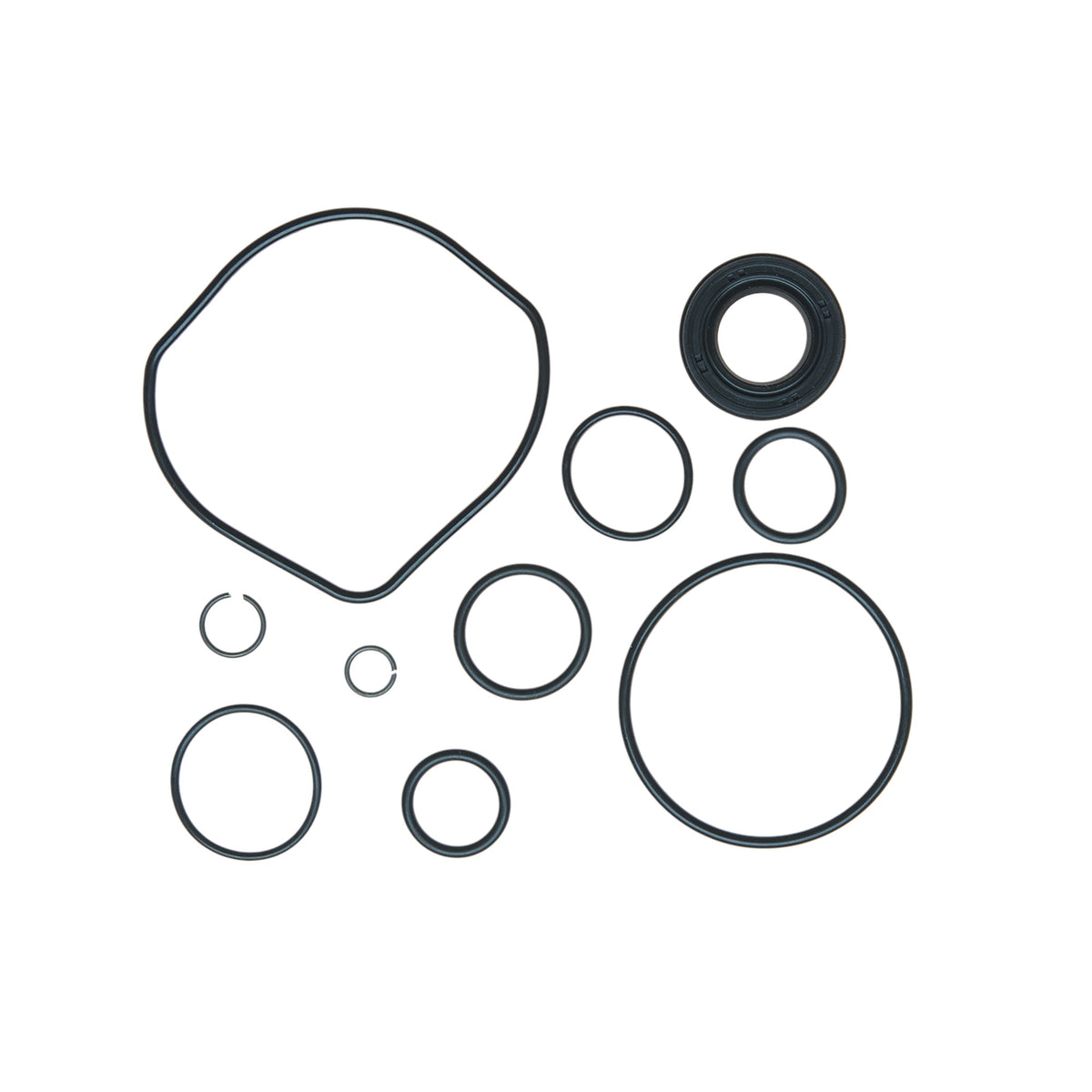 Edelmann Power Steering Pump Seal Kit 8963 main image