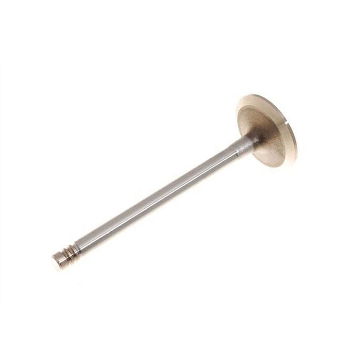 Eurospare Engine Exhaust Valve ERR3777R