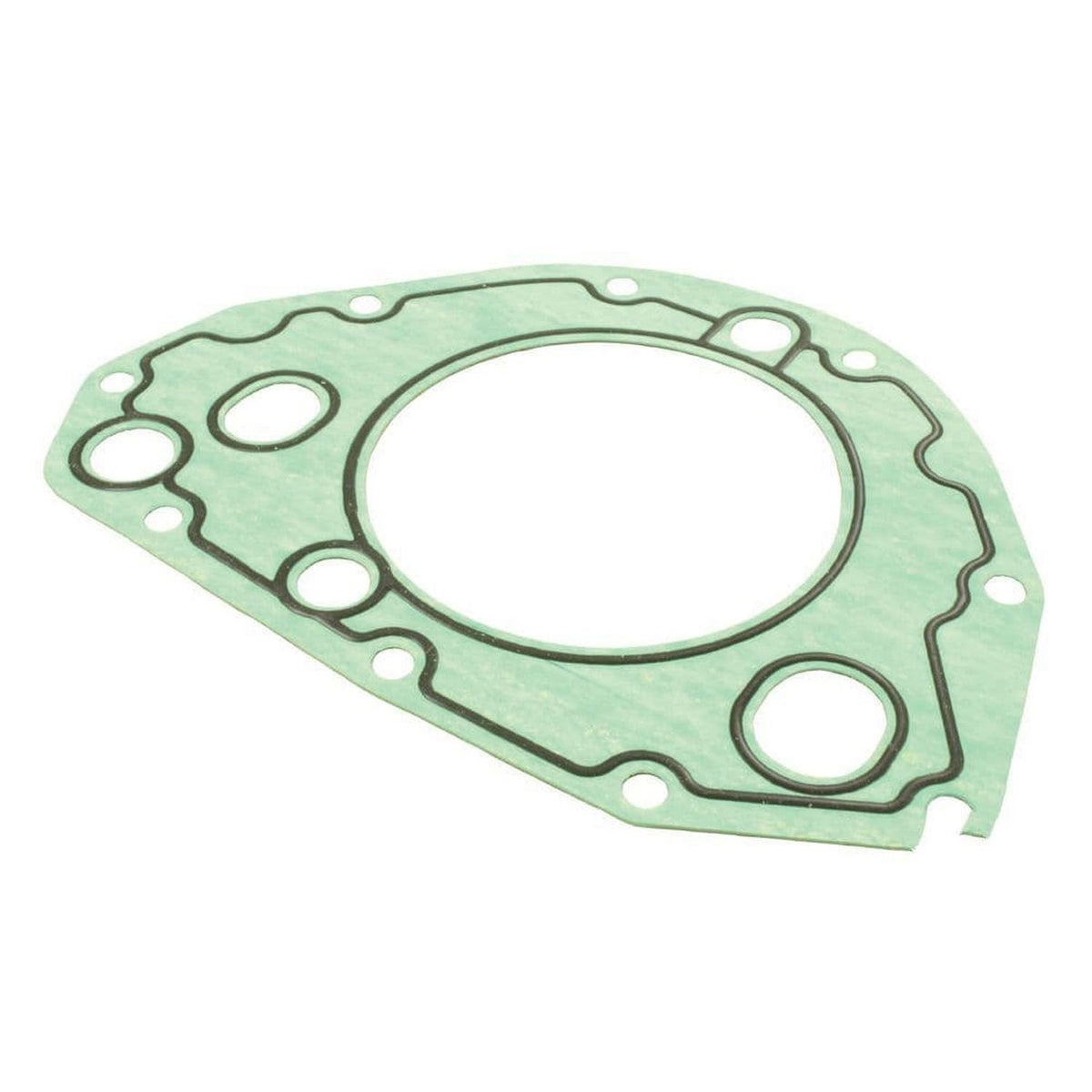 Eurospare Engine Oil Pump Gasket LVG100330R