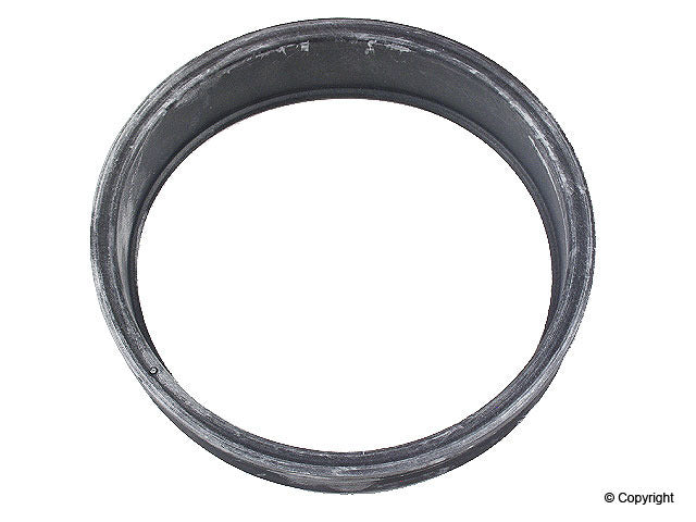 Eurospare Fuel Pump O-Ring