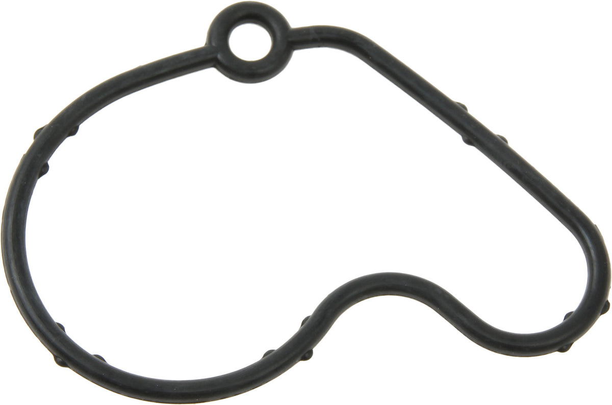 Elwis Vacuum Pump Gasket