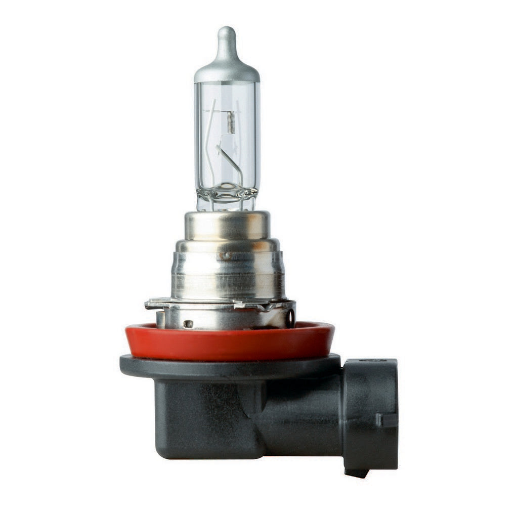 Flosser Fog Light Bulb