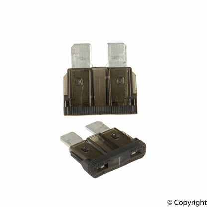 Flosser Fuse
