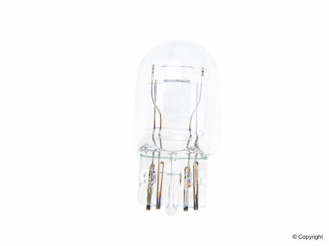 Flosser Tail Light Bulb