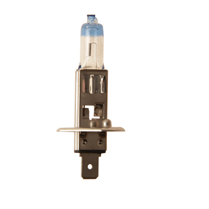 Flosser Multi Purpose Light Bulb