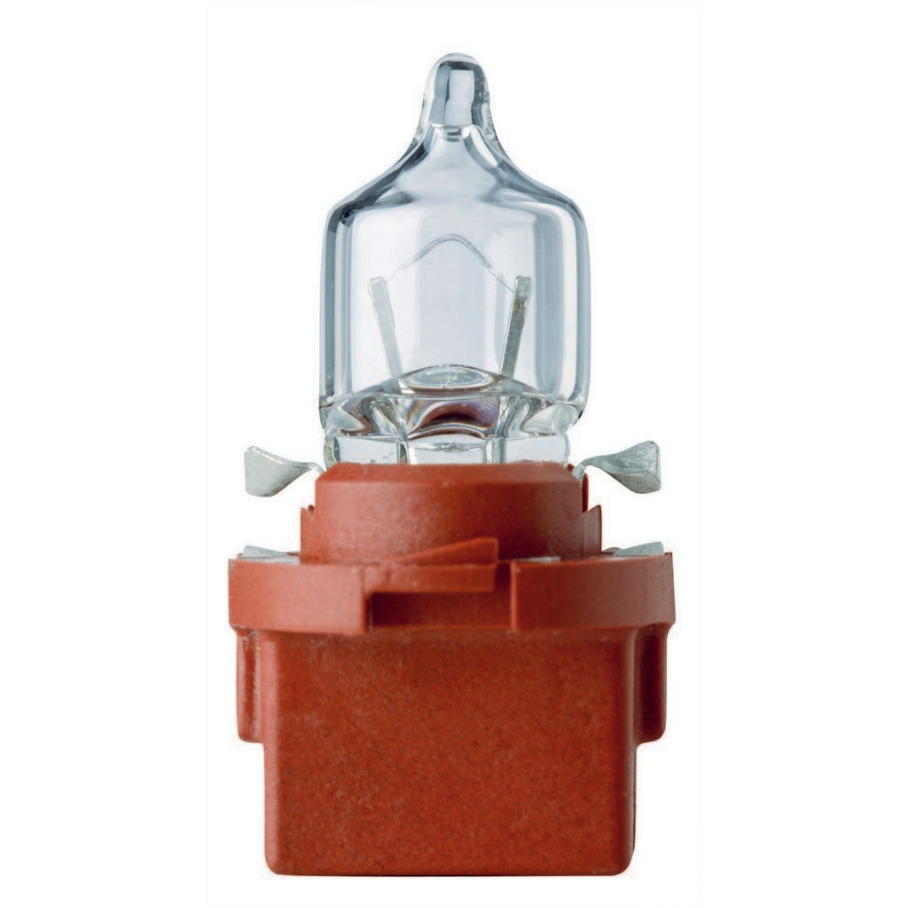 Flosser Instrument Panel Light Bulb