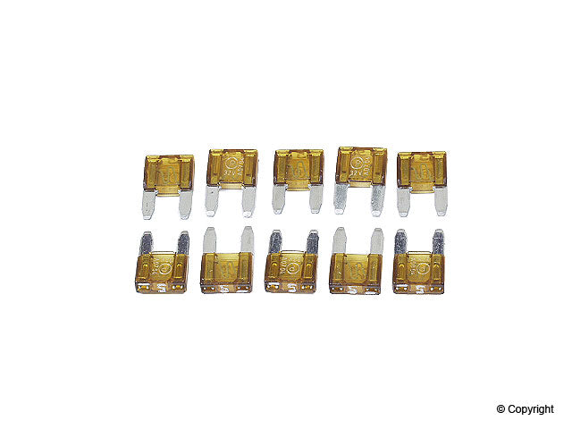 Flosser Fuse