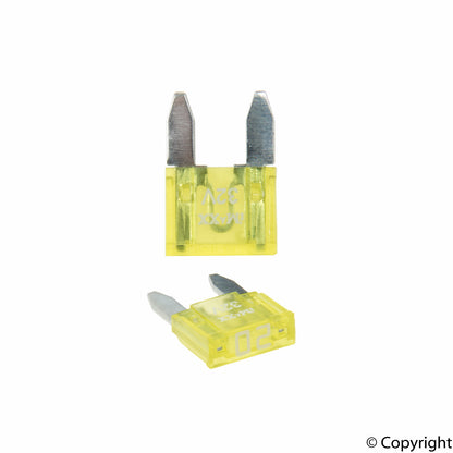 Flosser Fuse