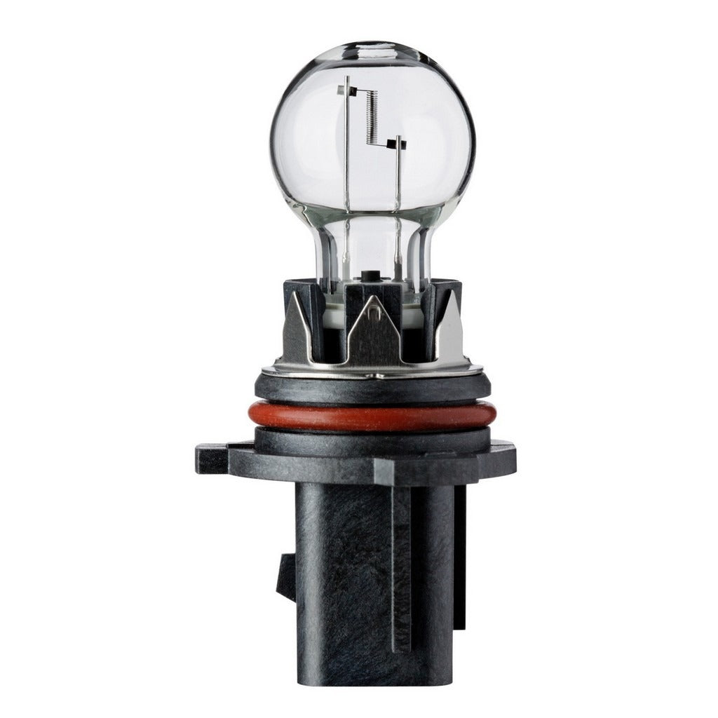 Flosser Multi Purpose Light Bulb