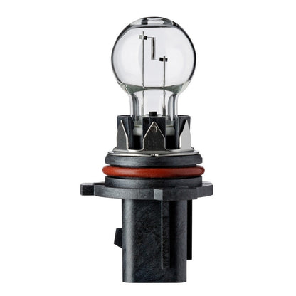 Flosser Multi Purpose Light Bulb