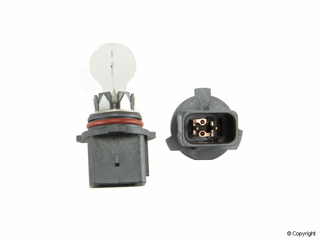 Flosser Multi Purpose Light Bulb