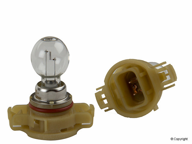 Flosser Multi Purpose Light Bulb