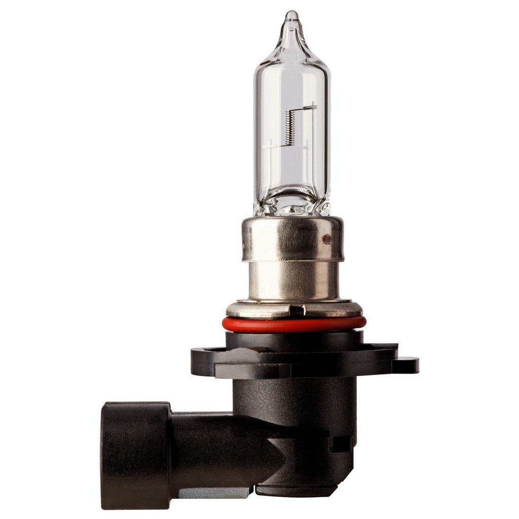 Flosser Multi Purpose Light Bulb