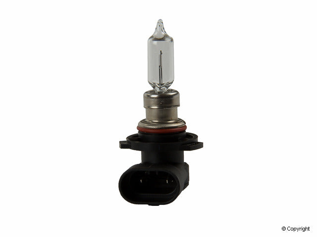 Flosser Multi Purpose Light Bulb