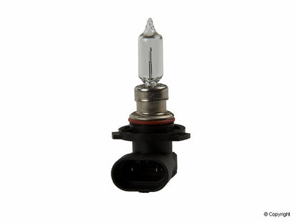 Flosser Multi Purpose Light Bulb