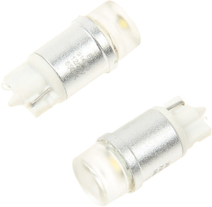 Flosser Multi Purpose Light Bulb