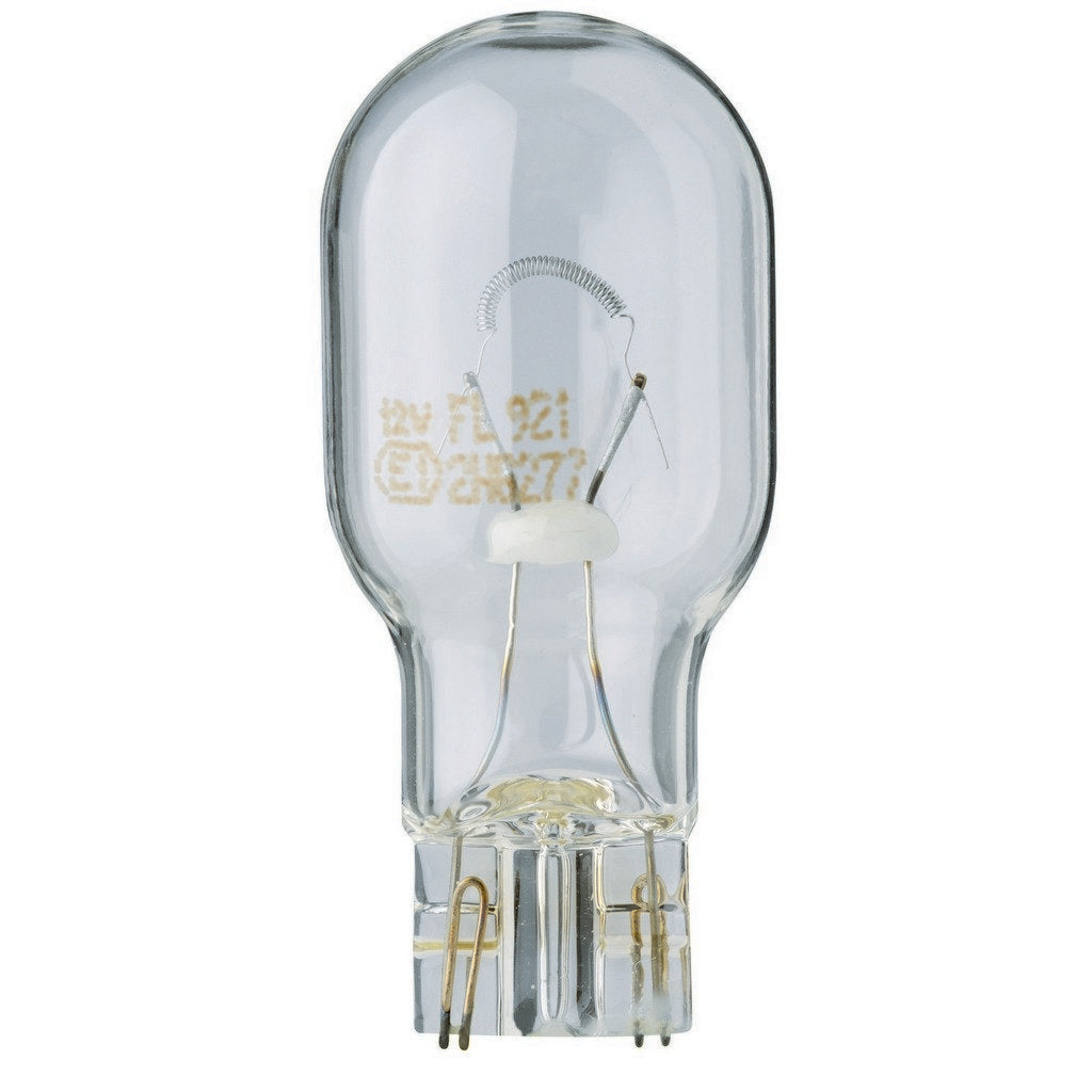Flosser Multi Purpose Light Bulb
