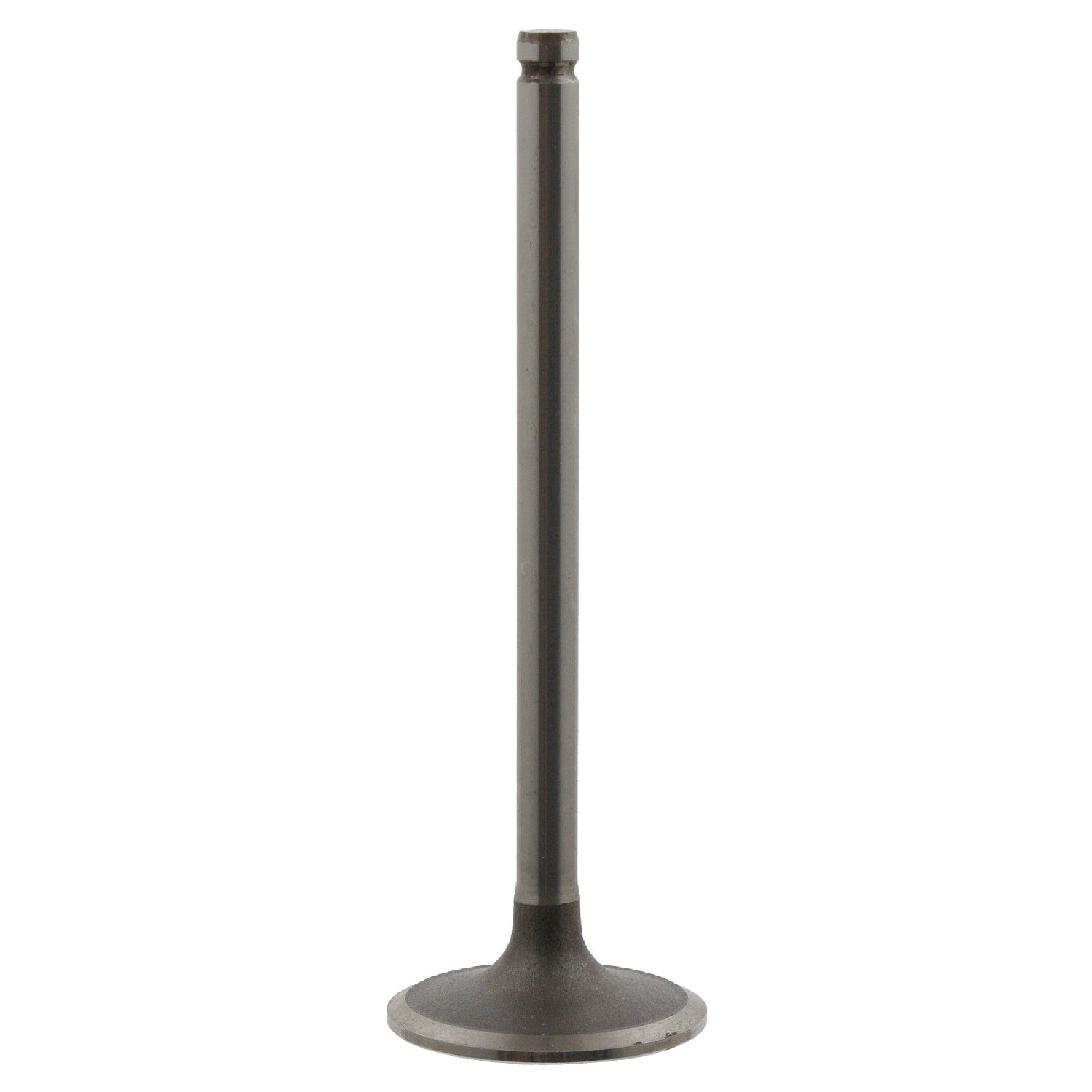 Febi-Bilstein Engine Intake Valve 18767 main image